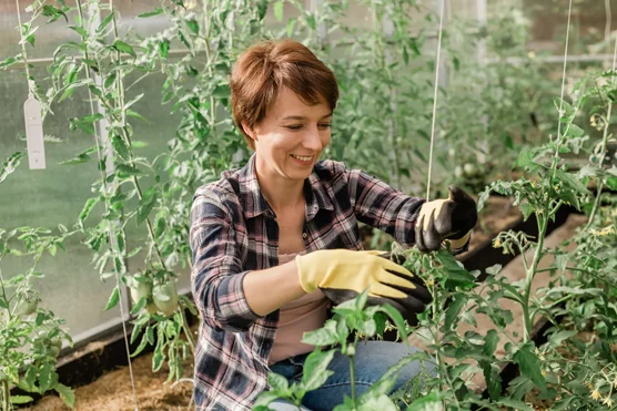Ouvrier agricole polyvalent / Ouvrière agricole polyvalente