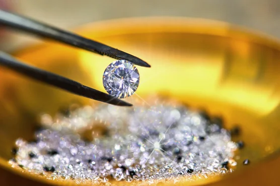 Lapidaire / Diamantaire