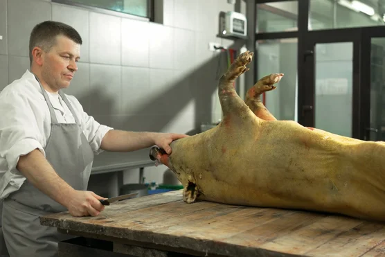 Ouvrier / Ouvrière d'abattoir