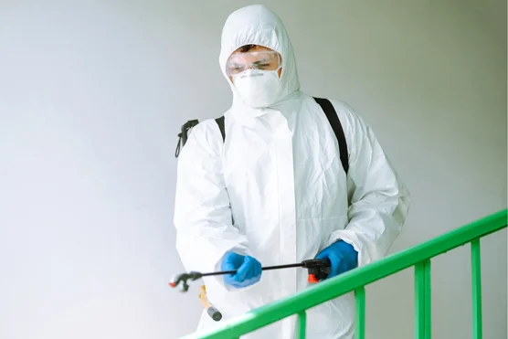 Agent / Agente de désinsectisation