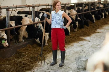 Eleveur / Eleveuse de bovins