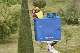 Elagueur / Elagueuse