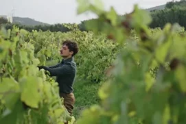 Arboriculteur / Arboricultrice