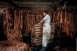 Opérateur / Opératrice en tannerie